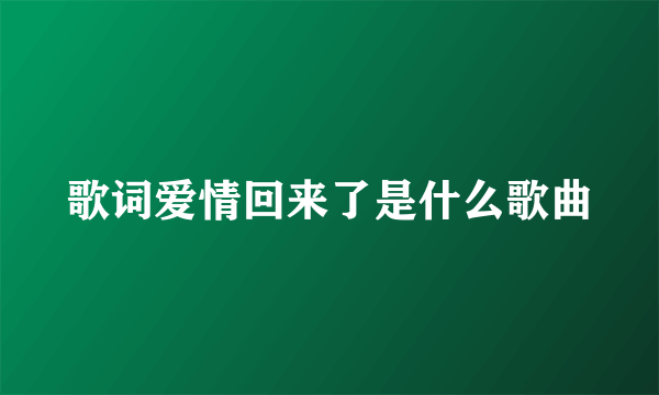 歌词爱情回来了是什么歌曲