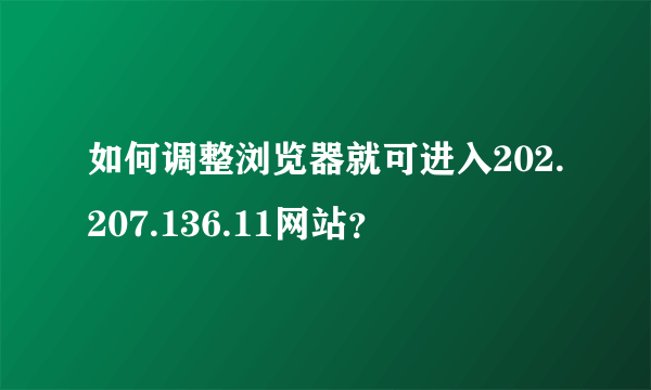 如何调整浏览器就可进入202.207.136.11网站？