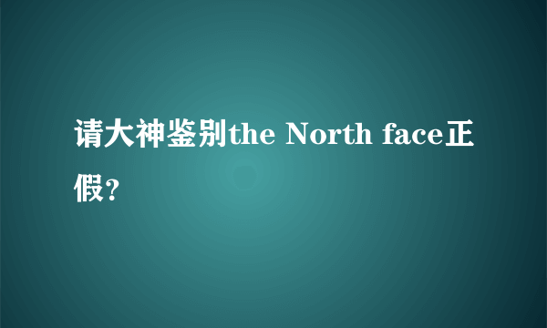 请大神鉴别the North face正假？