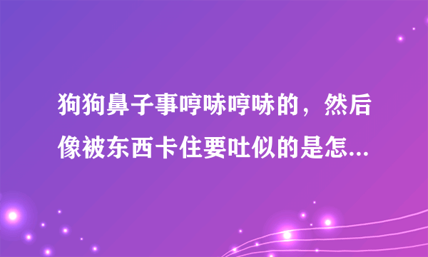 狗狗鼻子事哼哧哼哧的，然后像被东西卡住要吐似的是怎么回事？