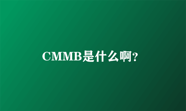 CMMB是什么啊？