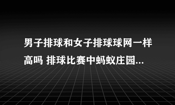 男子排球和女子排球球网一样高吗 排球比赛中蚂蚁庄园8.6答案