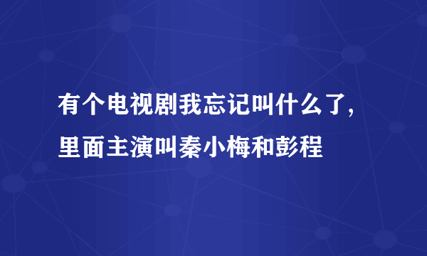 有个电视剧我忘记叫什么了,里面主演叫秦小梅和彭程