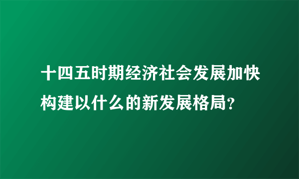 十四五时期经济社会发展加快构建以什么的新发展格局？