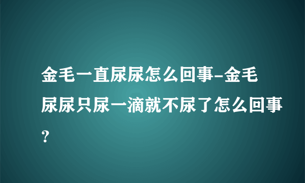 金毛一直尿尿怎么回事-金毛尿尿只尿一滴就不尿了怎么回事？