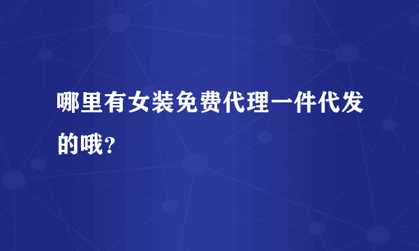 哪里有女装免费代理一件代发的哦？