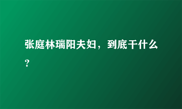 张庭林瑞阳夫妇，到底干什么？