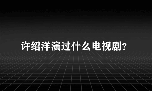 许绍洋演过什么电视剧？