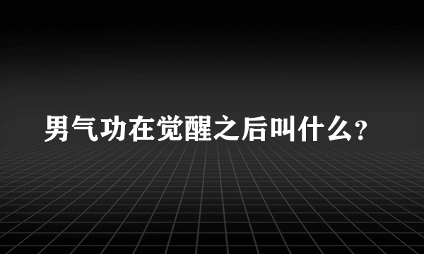 男气功在觉醒之后叫什么？