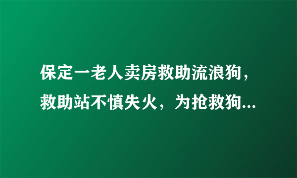 保定一老人卖房救助流浪狗，救助站不慎失火，为抢救狗狗烧伤半边脸，这个事你怎么看？