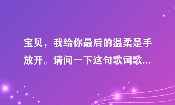 宝贝，我给你最后的温柔是手放开。请问一下这句歌词歌名叫什么？