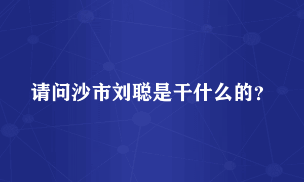 请问沙市刘聪是干什么的？