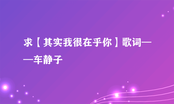 求【其实我很在乎你】歌词——车静子