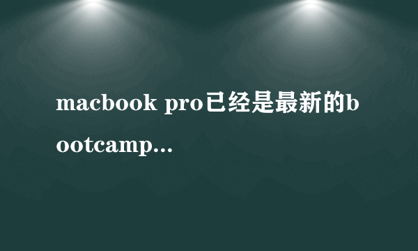 macbook pro已经是最新的bootcamp 3.2了, 可面板里没有键盘选项卡,全部的驱动也装全了