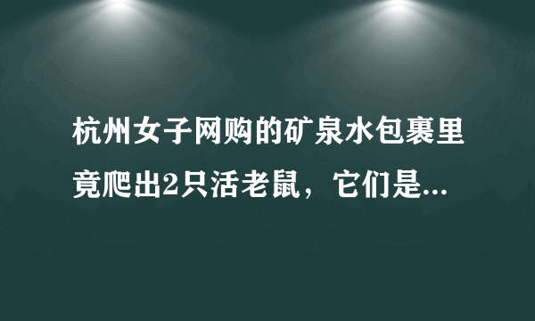 杭州女子网购的矿泉水包裹里竟爬出2只活老鼠，它们是如何进去的？