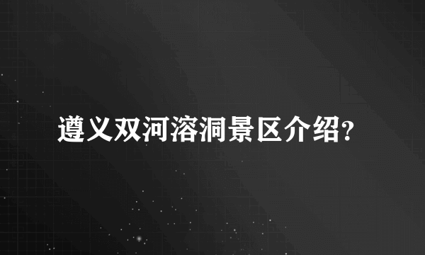 遵义双河溶洞景区介绍？