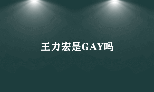 王力宏是GAY吗