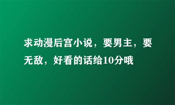 求动漫后宫小说，要男主，要无敌，好看的话给10分哦