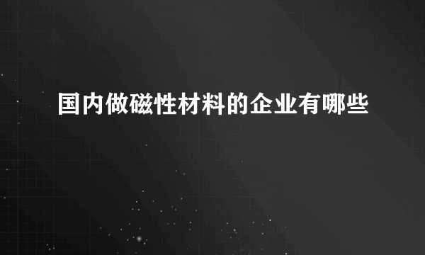 国内做磁性材料的企业有哪些