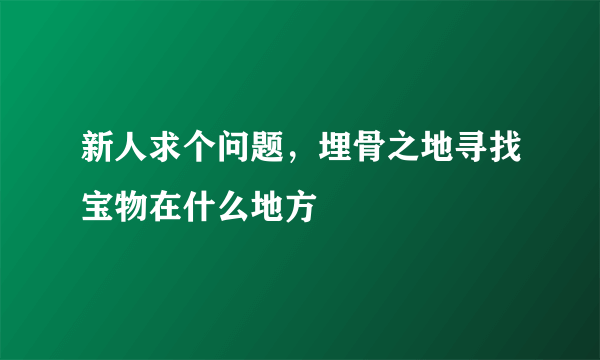 新人求个问题，埋骨之地寻找宝物在什么地方