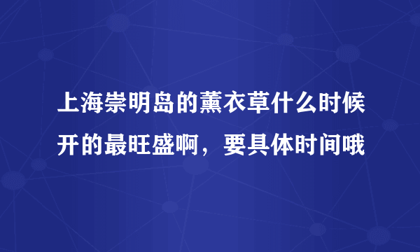 上海崇明岛的薰衣草什么时候开的最旺盛啊，要具体时间哦