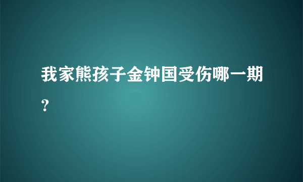 我家熊孩子金钟国受伤哪一期？