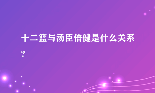 十二篮与汤臣倍健是什么关系？