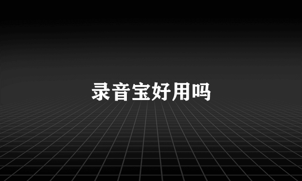 录音宝好用吗