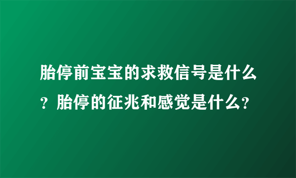 胎停前宝宝的求救信号是什么？胎停的征兆和感觉是什么？