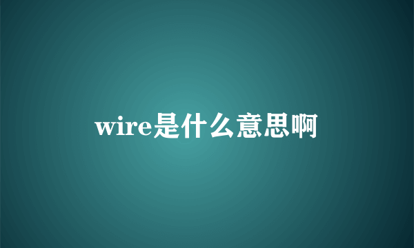 wire是什么意思啊