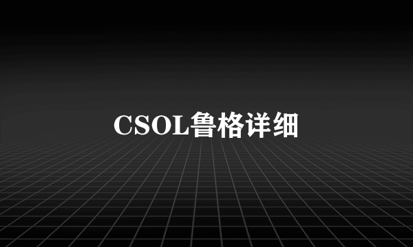 CSOL鲁格详细