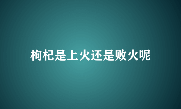 枸杞是上火还是败火呢