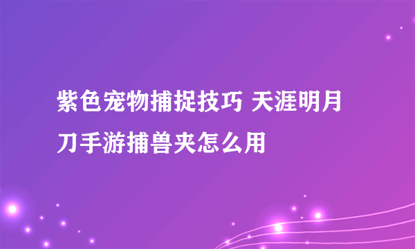 紫色宠物捕捉技巧 天涯明月刀手游捕兽夹怎么用