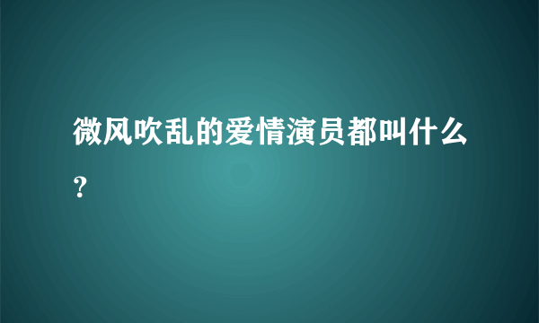 微风吹乱的爱情演员都叫什么？