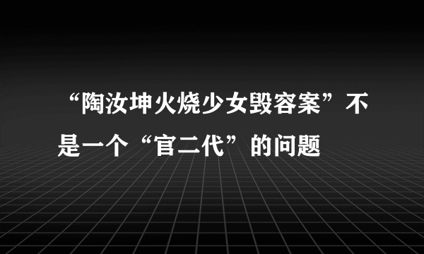 “陶汝坤火烧少女毁容案”不是一个“官二代”的问题