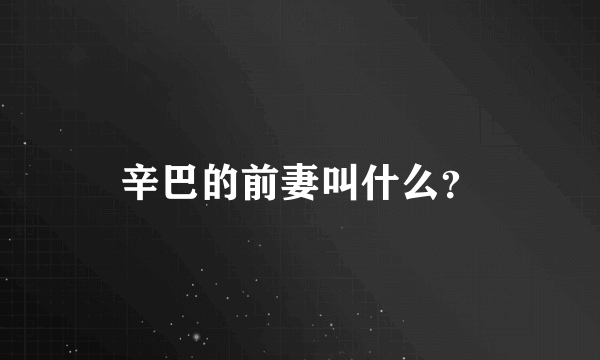 辛巴的前妻叫什么？