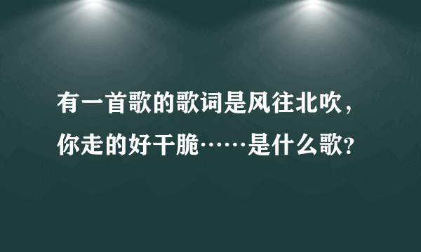 有一首歌的歌词是风往北吹，你走的好干脆……是什么歌？