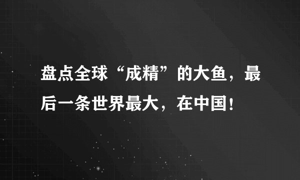 盘点全球“成精”的大鱼，最后一条世界最大，在中国！