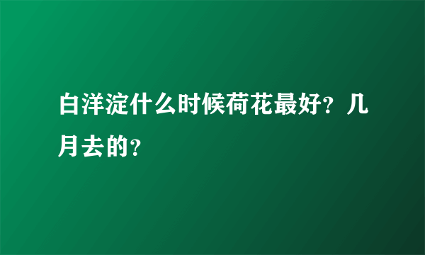 白洋淀什么时候荷花最好？几月去的？