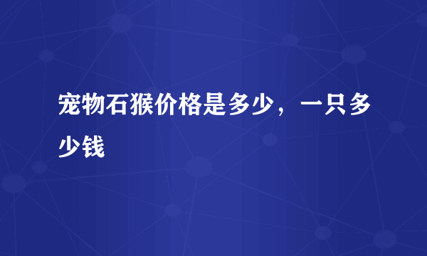 宠物石猴价格是多少，一只多少钱