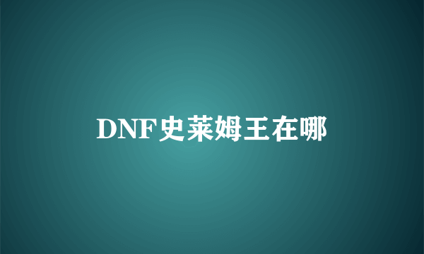 DNF史莱姆王在哪