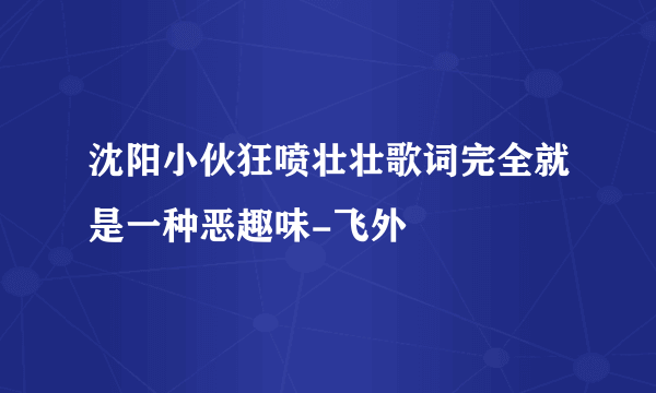 沈阳小伙狂喷壮壮歌词完全就是一种恶趣味-飞外