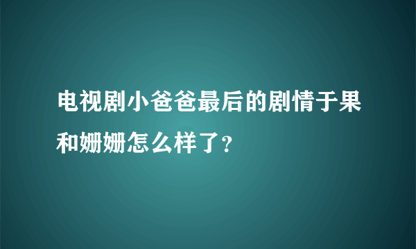 电视剧小爸爸最后的剧情于果和姗姗怎么样了？