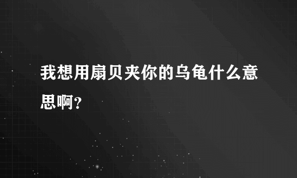 我想用扇贝夹你的乌龟什么意思啊？