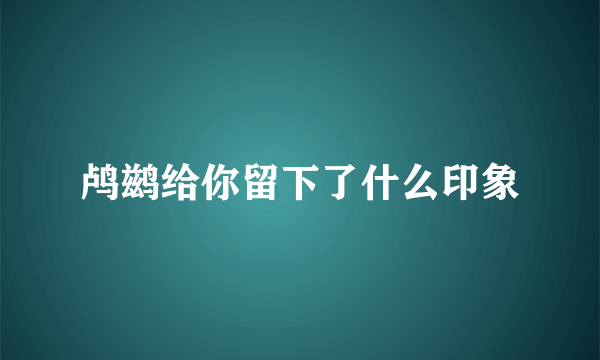 鸬鹚给你留下了什么印象