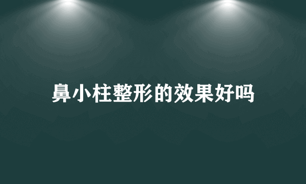 鼻小柱整形的效果好吗