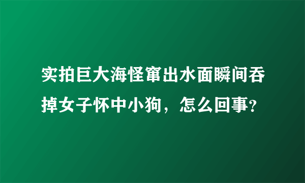 实拍巨大海怪窜出水面瞬间吞掉女子怀中小狗，怎么回事？