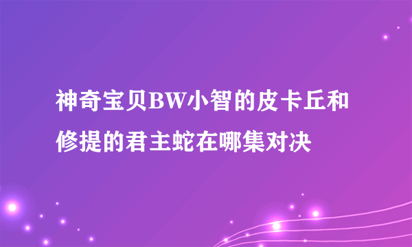 神奇宝贝BW小智的皮卡丘和修提的君主蛇在哪集对决