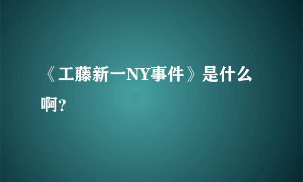 《工藤新一NY事件》是什么啊？