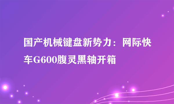 国产机械键盘新势力：网际快车G600腹灵黑轴开箱